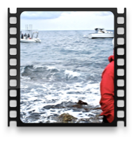 collage image title
